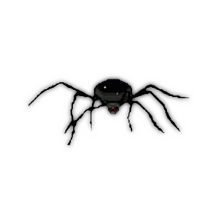 Giant Spider