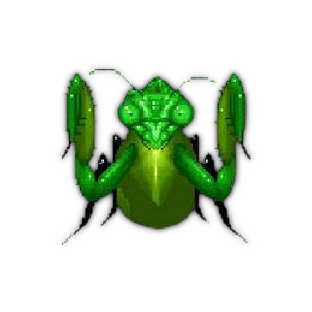Magic Mantis