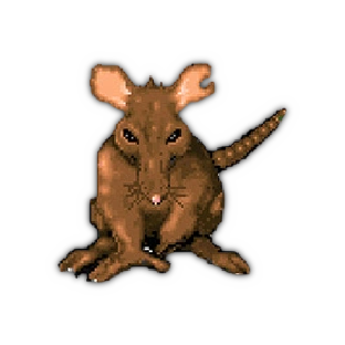 Moose Rat