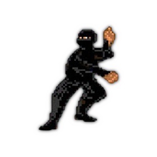 Ninja