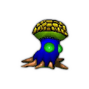 Wild Fungus
